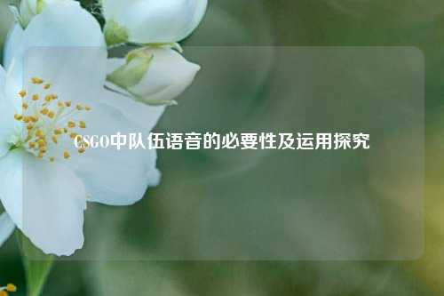 CSGO中队伍语音的必要性及运用探究