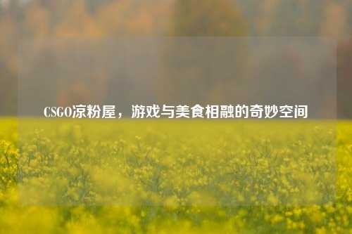 CSGO凉粉屋，游戏与美食相融的奇妙空间