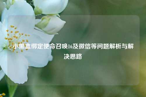 小黑盒绑定使命召唤16及微信等问题解析与解决思路