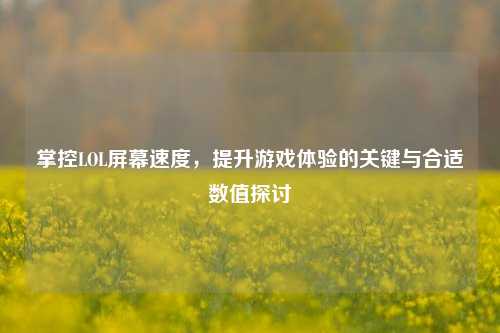 掌控LOL屏幕速度，提升游戏体验的关键与合适数值探讨