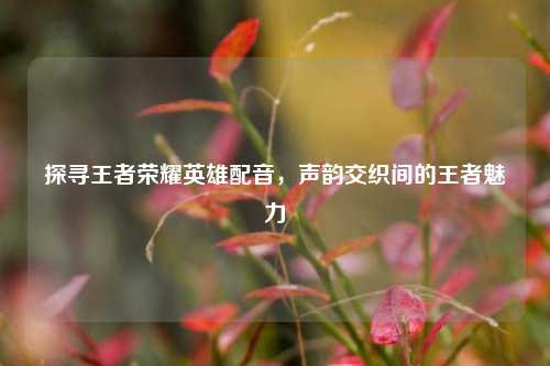 探寻王者荣耀英雄配音，声韵交织间的王者魅力