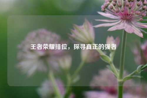 王者荣耀排位，探寻真正的强者
