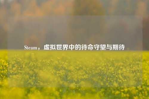 Steam，虚拟世界中的待命守望与期待