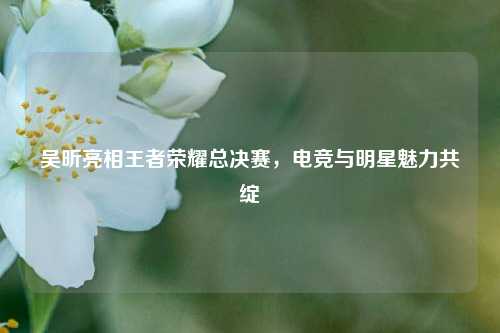 吴昕亮相王者荣耀总决赛，电竞与明星魅力共绽