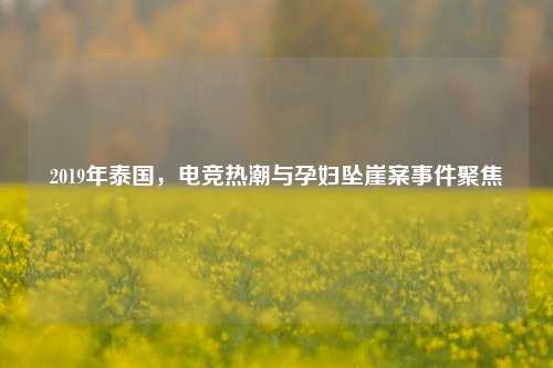 2019年泰国，电竞热潮与孕妇坠崖案事件聚焦