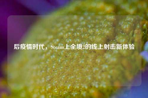 后疫情时代，Steam上全境2的线上射击新体验