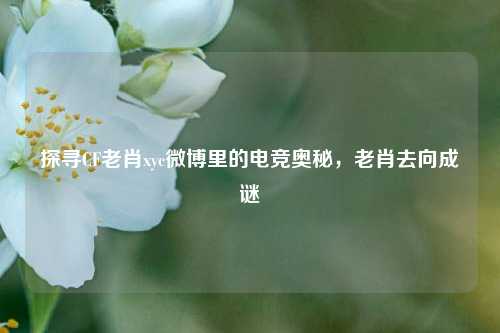 探寻CF老肖xyc微博里的电竞奥秘，老肖去向成谜
