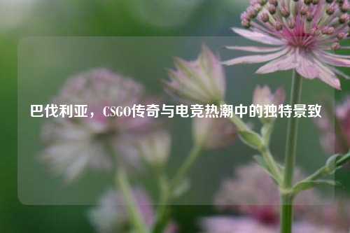 巴伐利亚，CSGO传奇与电竞热潮中的独特景致