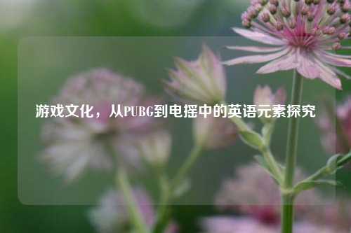 游戏文化，从PUBG到电摇中的英语元素探究
