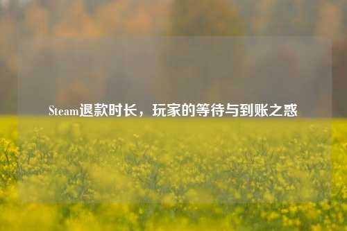 Steam退款时长，玩家的等待与到账之惑