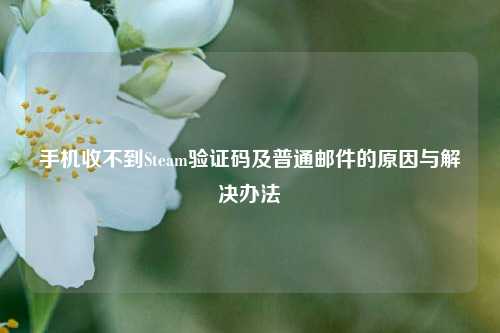 手机收不到Steam验证码及普通邮件的原因与解决办法