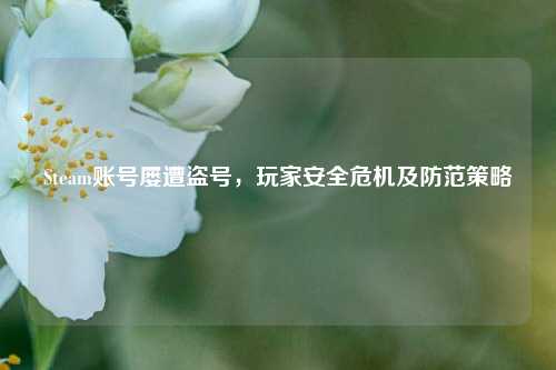 Steam账号屡遭盗号，玩家安全危机及防范策略