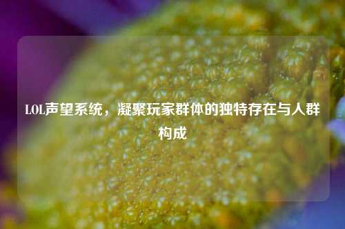 LOL声望系统，凝聚玩家群体的独特存在与人群构成