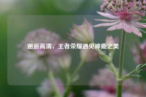 邂逅高清，王者荣耀遇见神鹿之美