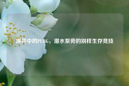 深井中的PUBG，潜水泵旁的别样生存竞技