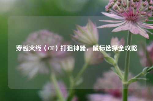 穿越火线（CF）打狙神器，鼠标选择全攻略
