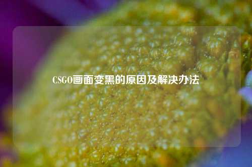CSGO画面变黑的原因及解决办法