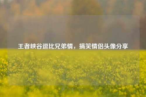 王者峡谷逗比兄弟情，搞笑情侣头像分享