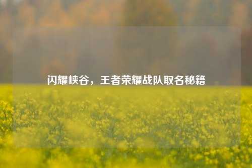 闪耀峡谷，王者荣耀战队取名秘籍