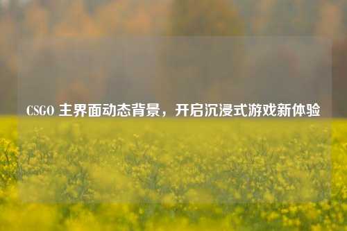 CSGO 主界面动态背景，开启沉浸式游戏新体验