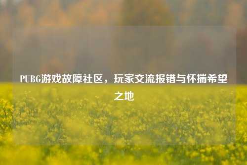 PUBG游戏故障社区，玩家交流报错与怀揣希望之地