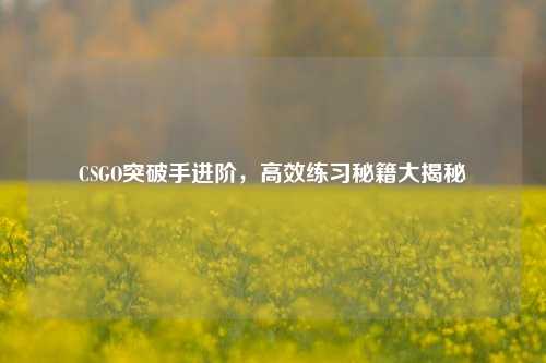 CSGO突破手进阶，高效练习秘籍大揭秘