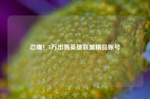 忍痛！5万出售英雄联盟精品账号