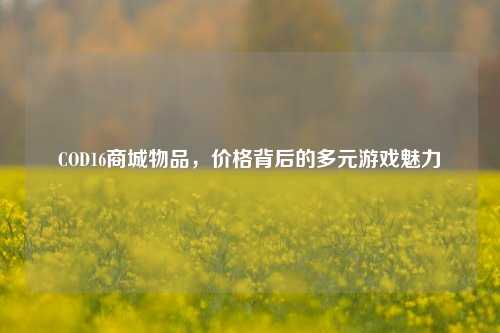 COD16商城物品，价格背后的多元游戏魅力