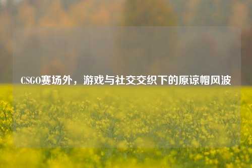 CSGO赛场外，游戏与社交交织下的原谅帽风波