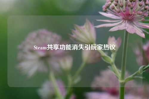 Steam共享功能消失引玩家热议