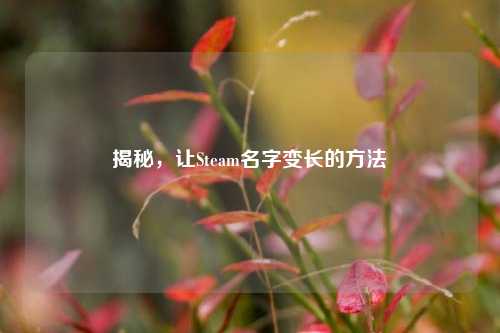 揭秘，让Steam名字变长的     