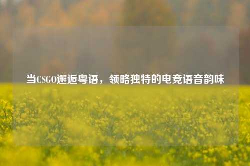 当CSGO邂逅粤语，领略独特的电竞语音韵味