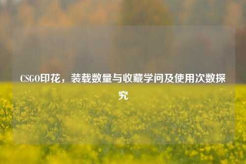 CSGO印花，装载数量与收藏学问及使用次数探究