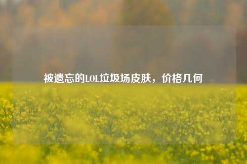 被遗忘的LOL垃圾场皮肤，价格几何