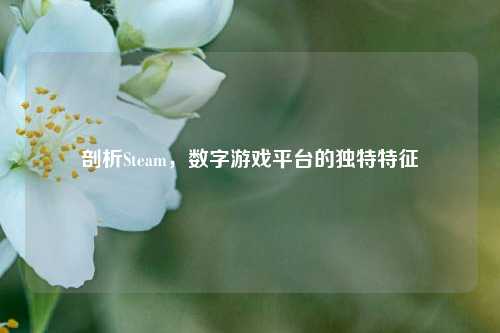 剖析Steam，数字游戏平台的独特特征