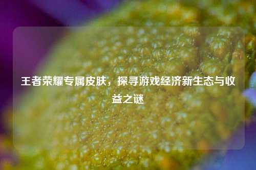 王者荣耀专属皮肤，探寻游戏经济新生态与收益之谜